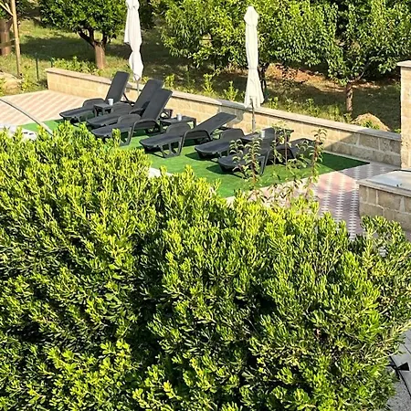 Bed & Breakfast Lu Zezzu *